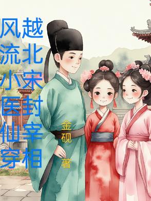 风流小医仙，穿越北宋封宰相风流小医仙，穿越北宋封宰相